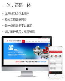 中小型企業(yè)網(wǎng)站建設(shè)與盈利能力案例分析